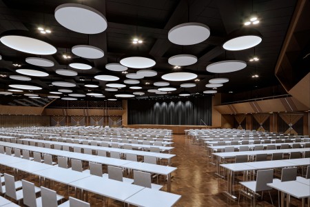 Visualisation of the Weinbrenner-Saal