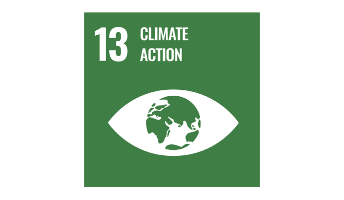 UN Sustainable Development Goal 13 Climate Action
