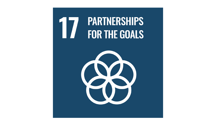 UN Sustainable Development Goal 17 Partnerships for the goals