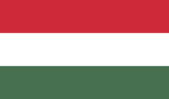 Landesflagge Ungarn Grafik 