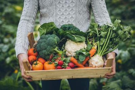 A woman is holding a box of colorful vegetables.