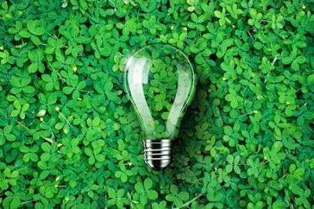 A transparent light bulb lies on a clover field.